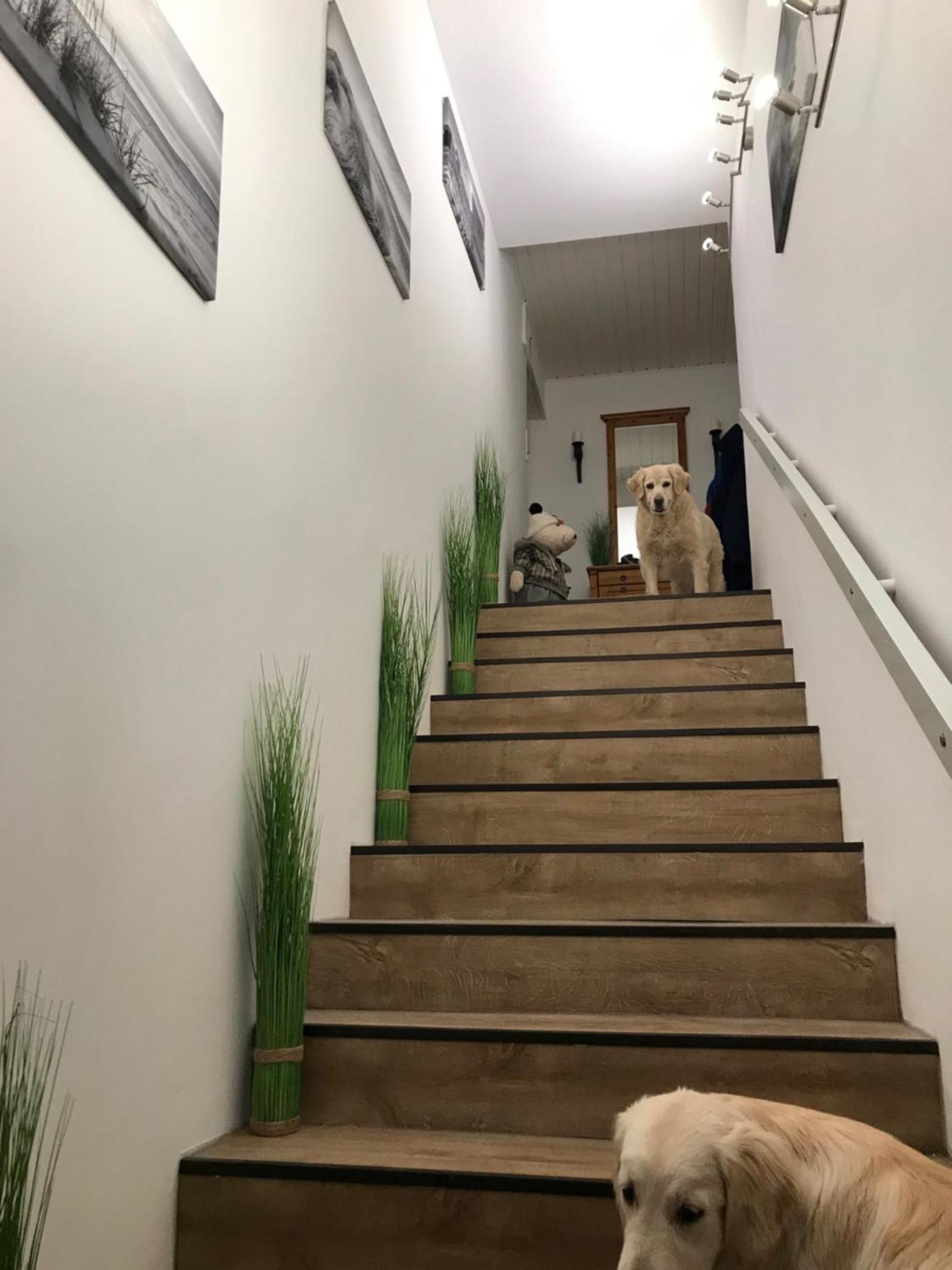 5 1/2 Zimmer Penthouse Luv Und Lee Schillig Zewnętrze zdjęcie